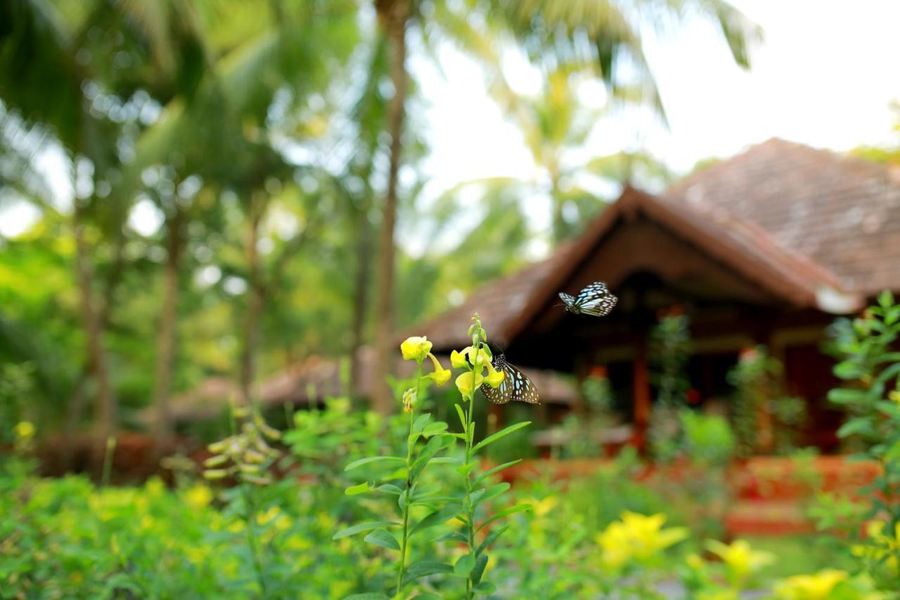 The Nattika Beach Resort Thrissur Екстер'єр фото
