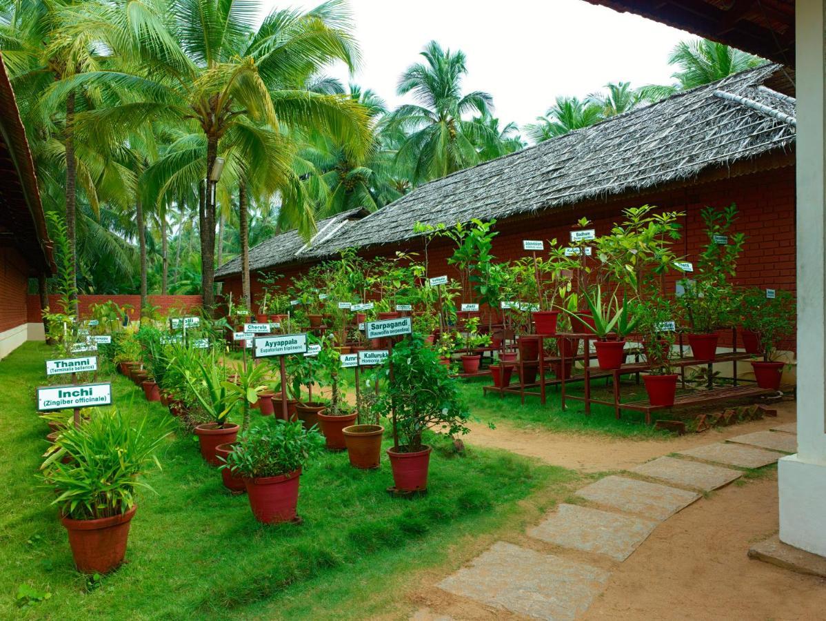 The Nattika Beach Resort Thrissur Екстер'єр фото